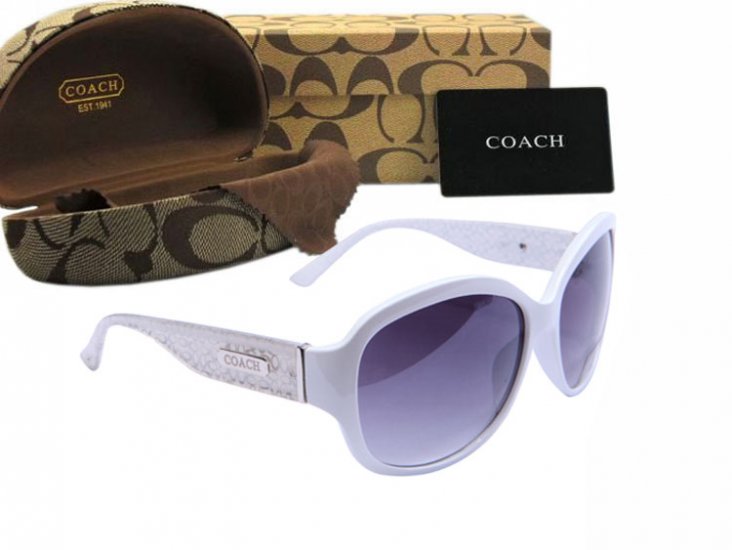 Coach Sunglasses 8019 | Women